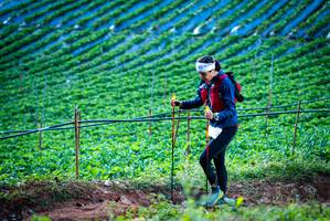 BIB: 
                            <button type="button" onclick="openModal(19160011)" class="btn btn-primary btn-sm float-right btn-popup" data-toggle="modal" data-target=".modal-high-quality">
                        <i class="fas fa-shopping-cart"></i> Add to Cart
                    </button>
                                            <button type="button" onclick="isThisMe(19160011, true)" class="btn btn-success btn-sm float-right btn-popup btn-isme hidden" data-toggle="tooltip" data-placement="bottom" title="นี่คือรูปของคุณใช่ไหม คลิกที่นี่เพื่อเอาเข้าอัลบั้ม">
                        <i class="fas fa-plus"></i> Add to album
                    </button>
                    <button type="button" onclick="isThisMe(19160011, false)" class="btn btn-warning btn-sm float-right btn-popup btn-isnotme hidden">
                        <i class="fas fa-ban"></i> Remove from album
                    </button>